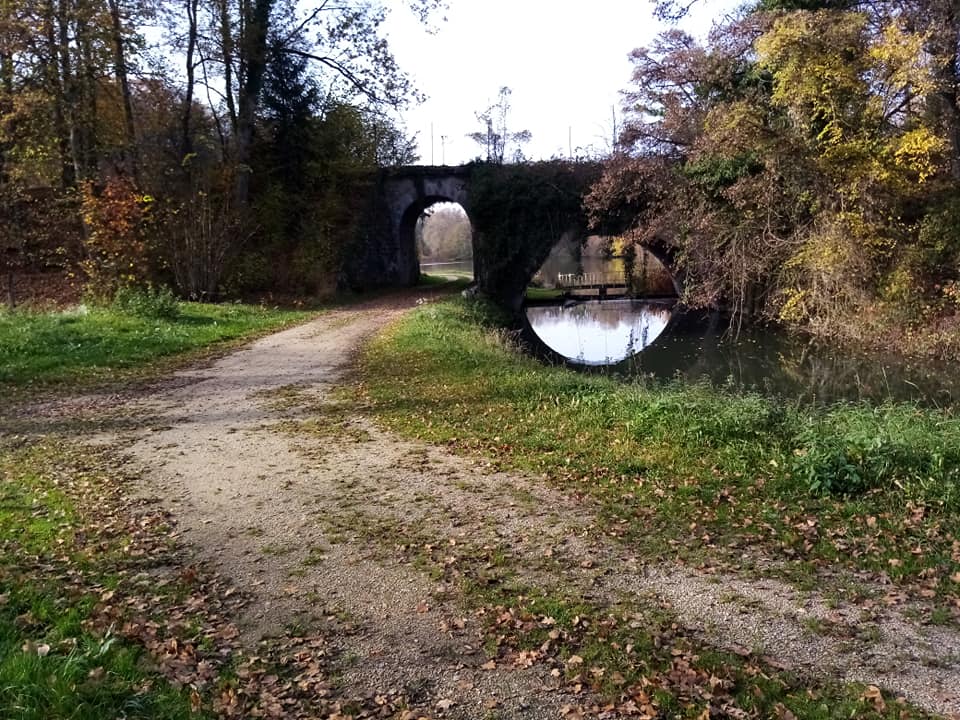 Pont de l'étang Viellard