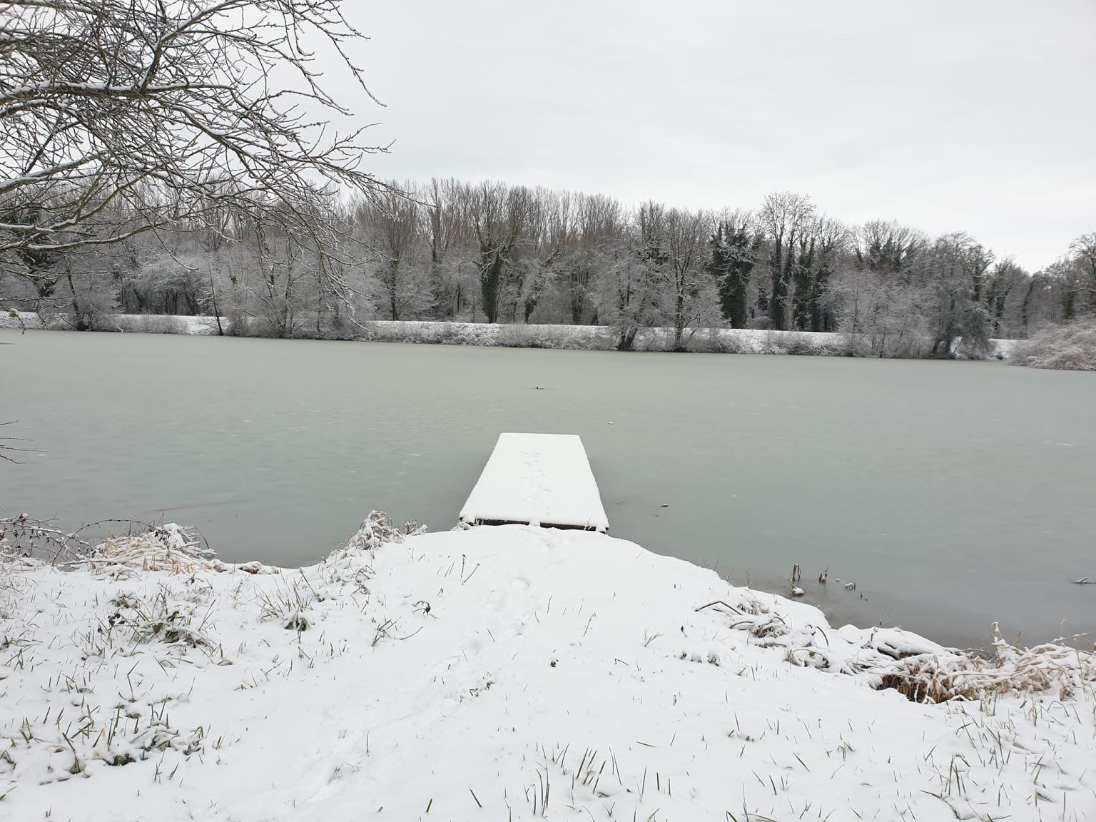 Étang Viellard (1)