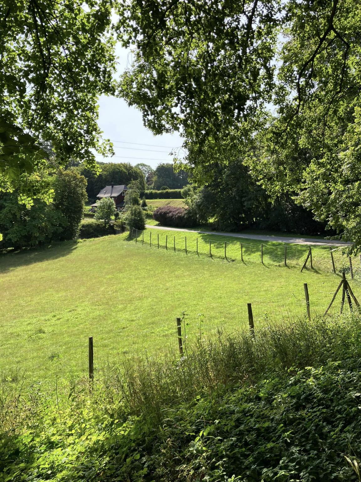 Étang et route des Chateaux