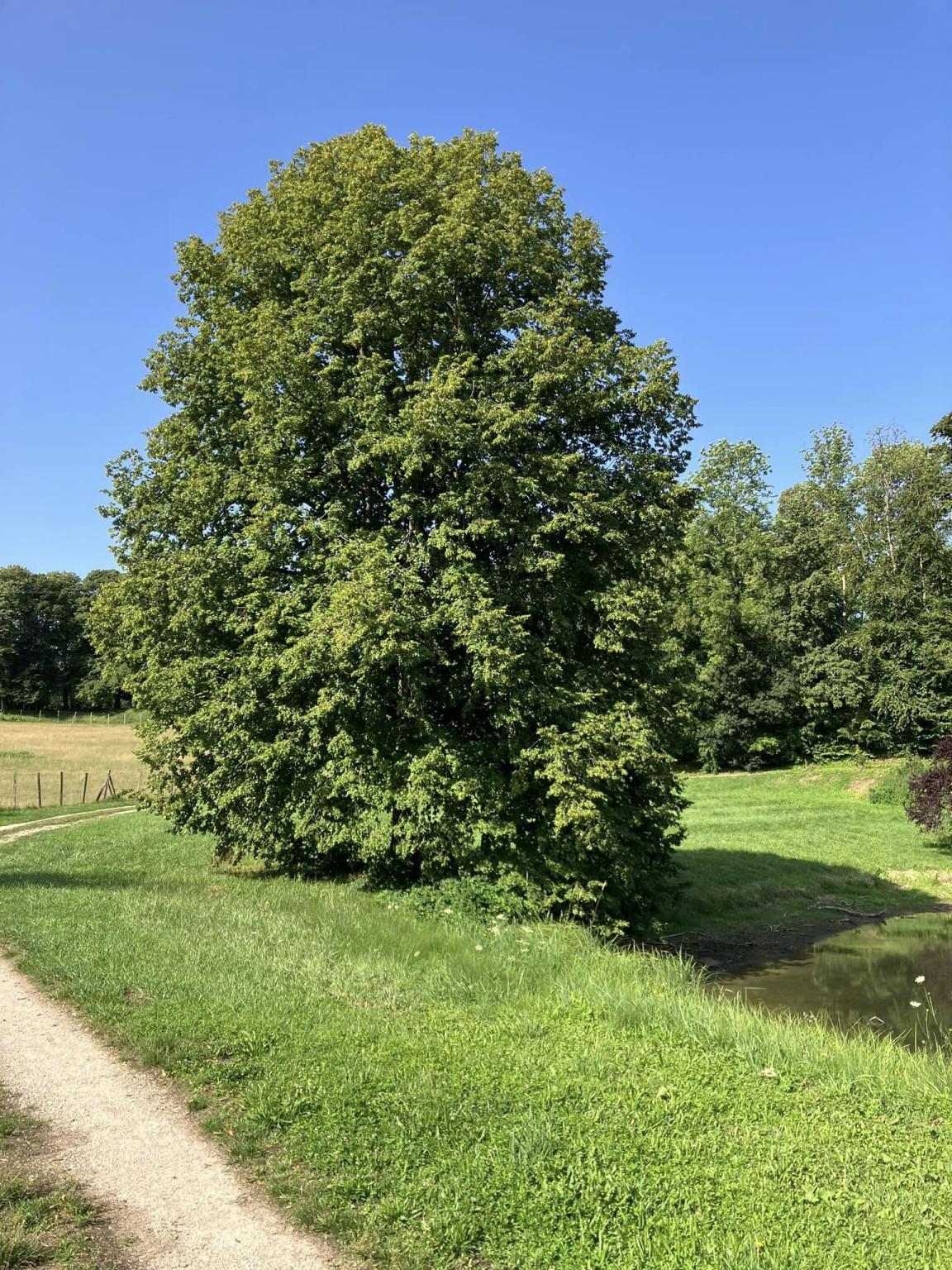 Étang et route des Chateaux