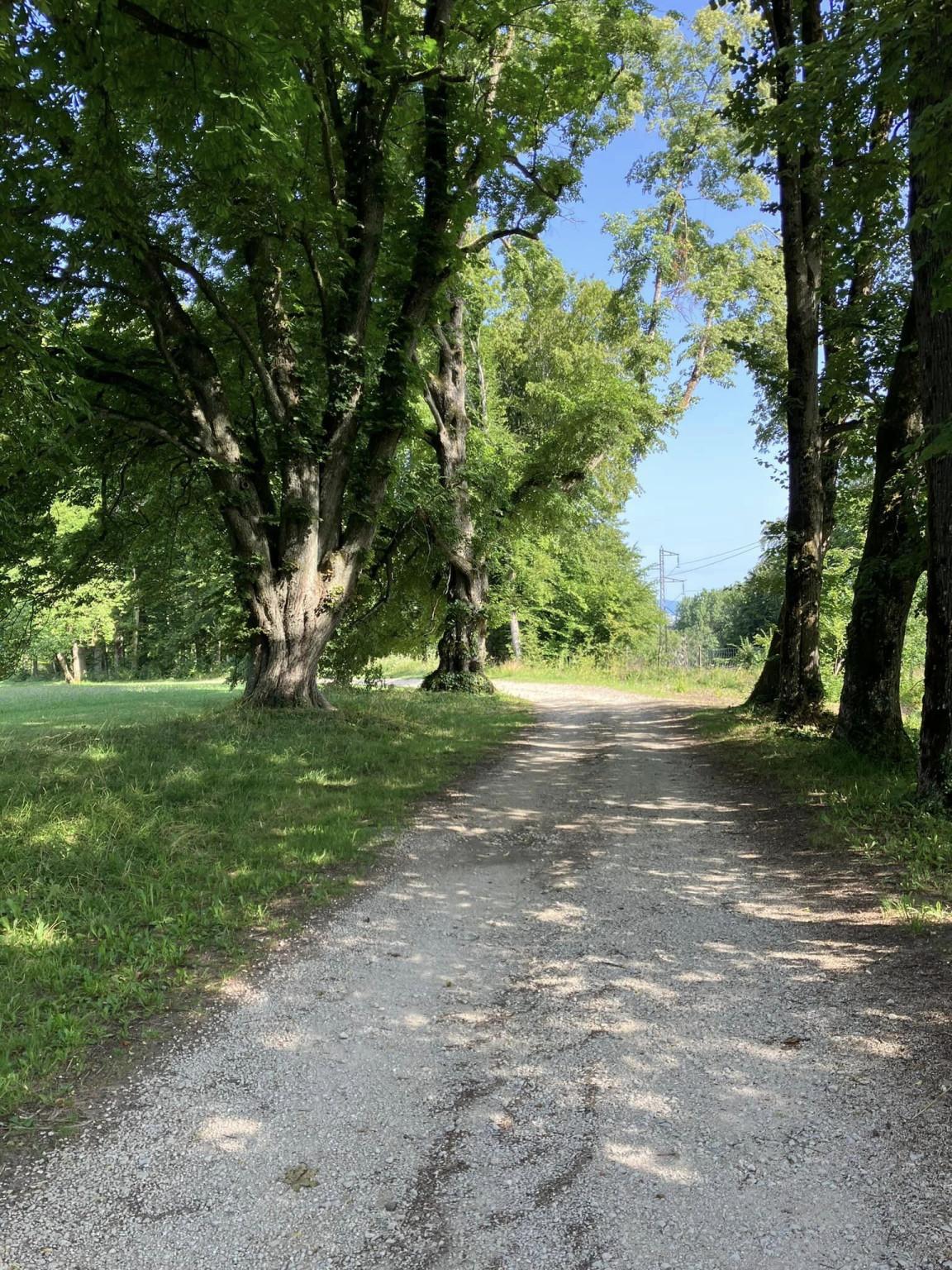 Étang et route des Chateaux