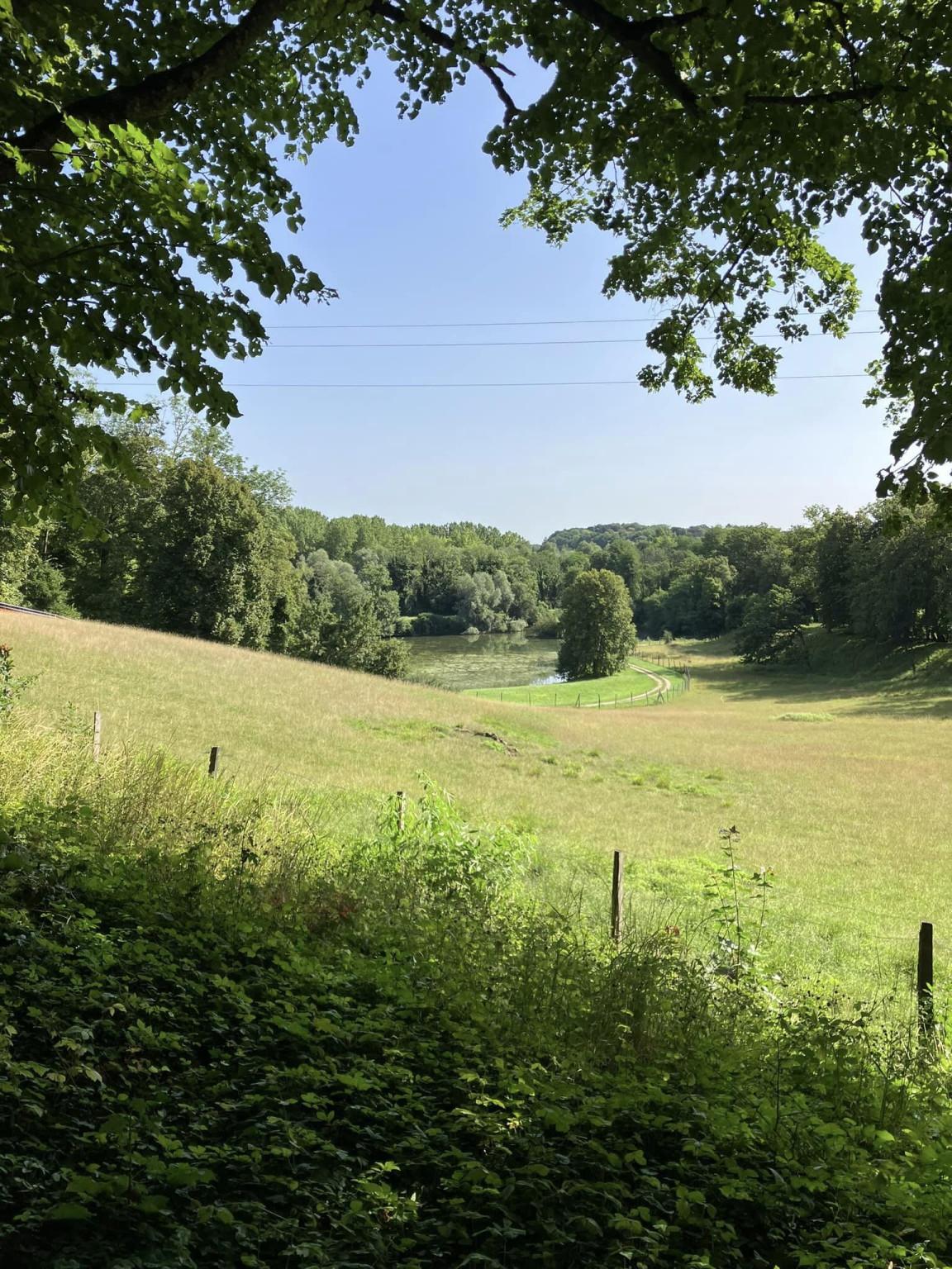 Étang et route des Chateaux