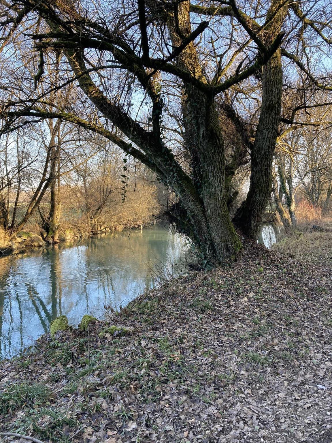 Étang et route des Chateaux