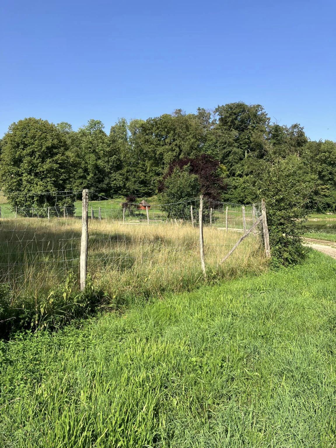 Étang et route des Chateaux