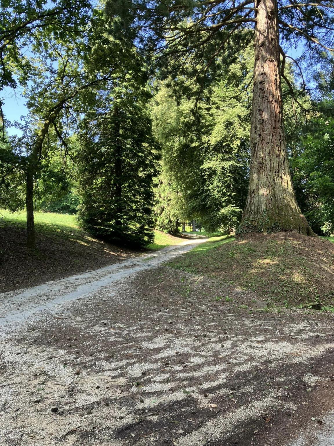 Étang et route des Chateaux