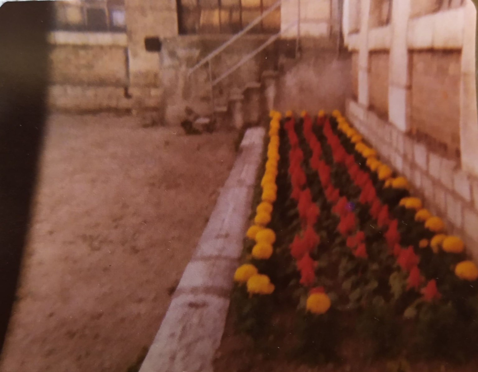 VMC